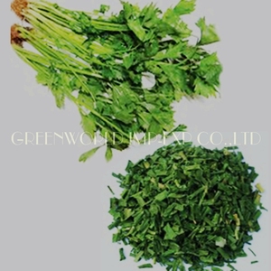 DRIED <strong>CELERY</strong> FROM VIET NAM - BEST PRICE - HIGH QUALITY - Product Image 1