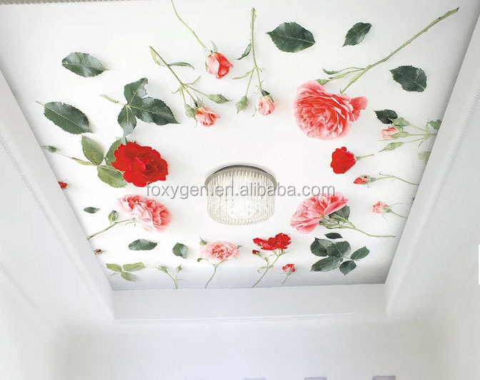 Film de plafond tendu 3D