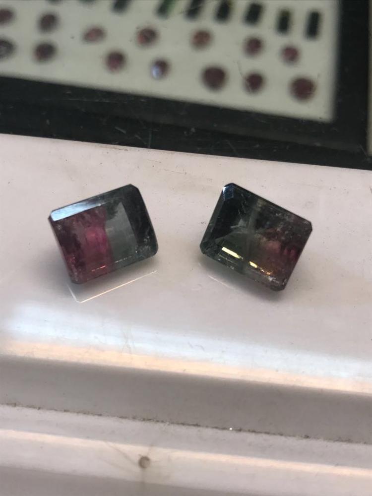 Bi Color Tourmaline