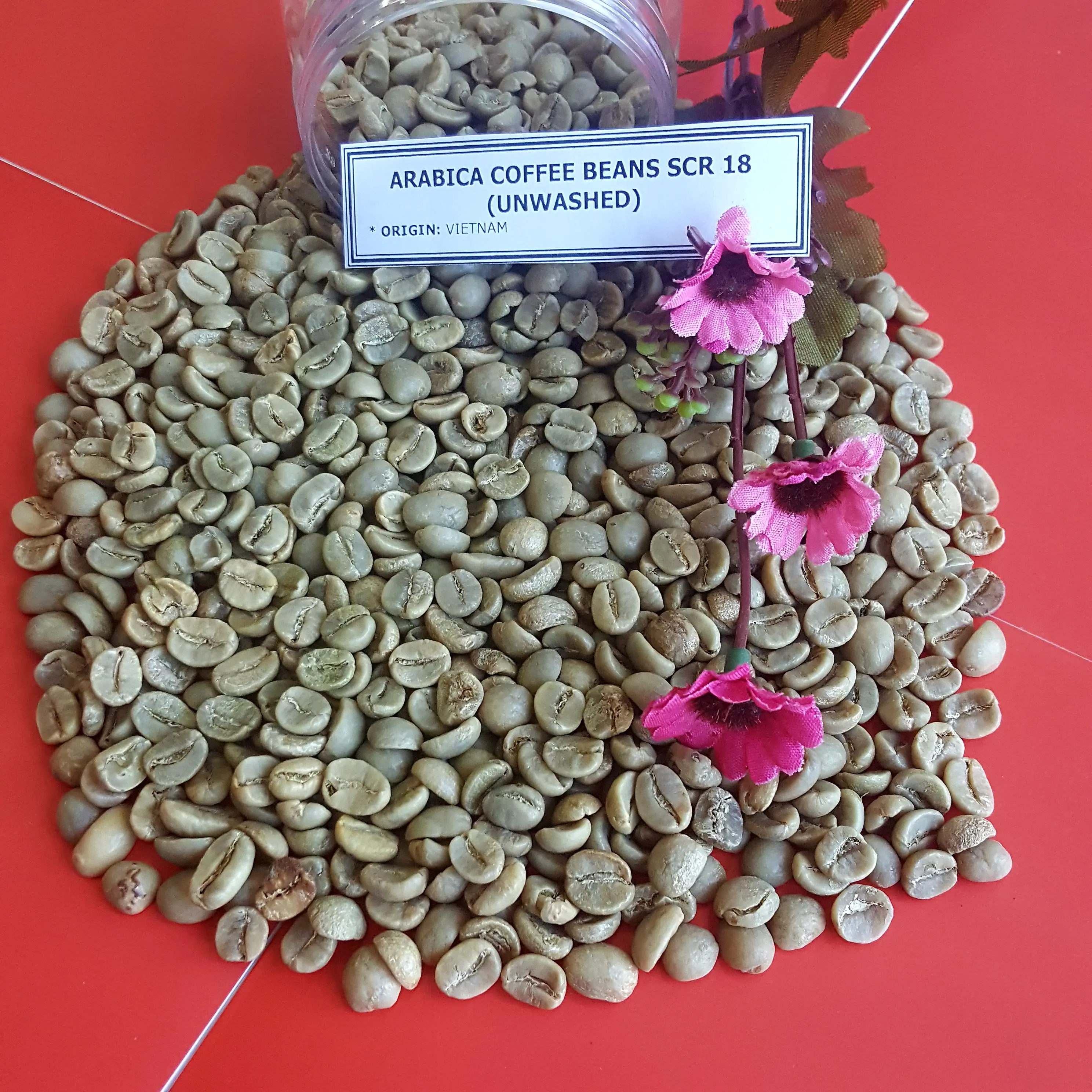 HIGH QUALITY COFFEE IN VIETNAM /ROBUSTA COFFEE SCR 18 UNWASHED