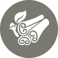 Spice Design