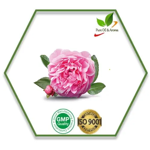 Aceite de Rosa orgánico a granel para aromaterapia, aceite de rosa para la cara, venta al por mayor de Material cosmético