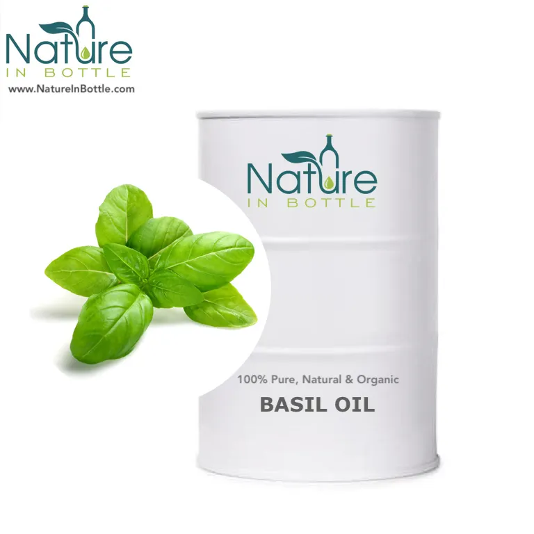 Óleo de basil | óleo de basilicum orgânico | óleo de basilicum doce-óleos essenciais destacados de melhor qualidade-puro e natural