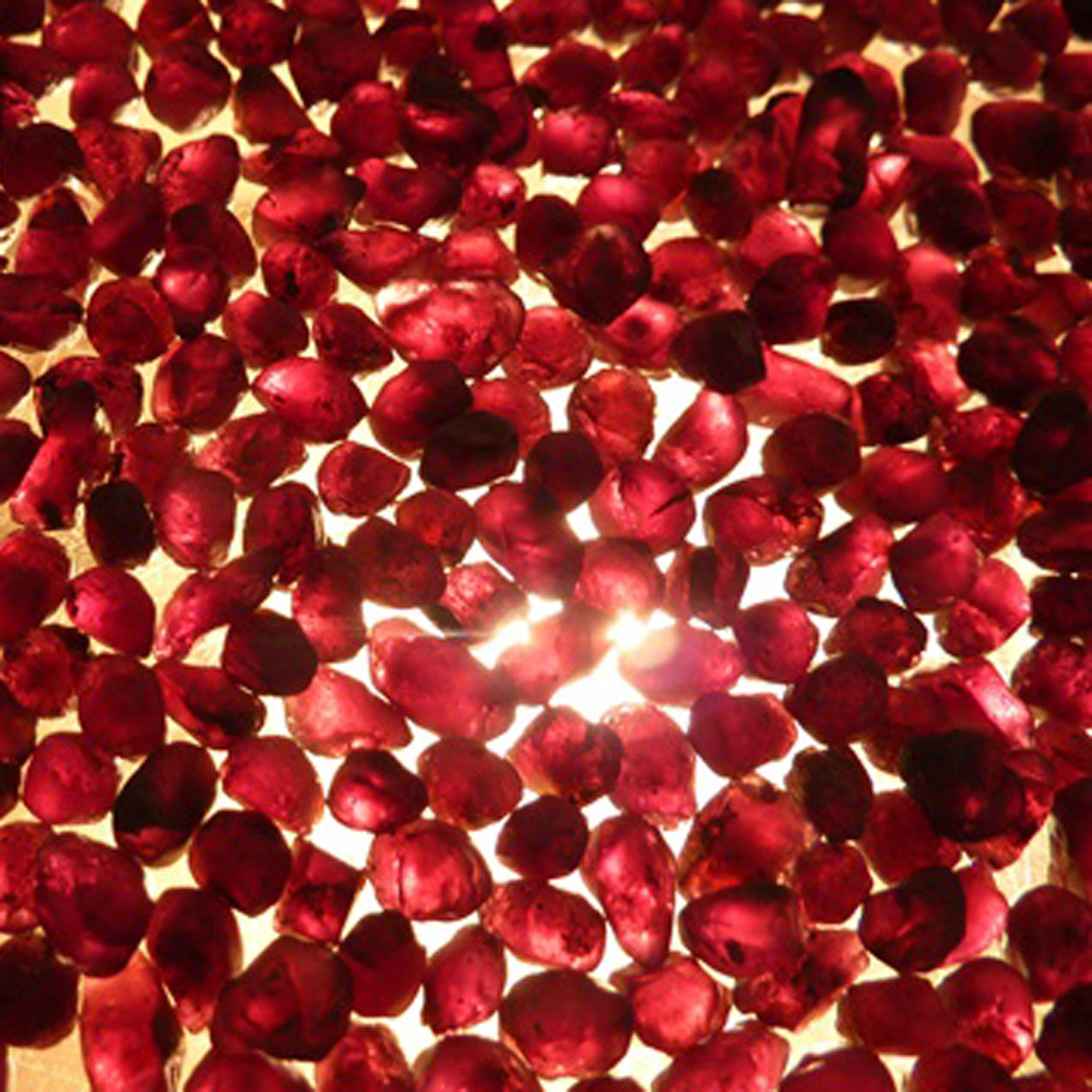 PURPLE RED