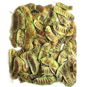 Kurutulmuş Senna bakla ihracatçı formu hindistan | En kaliteli doğal Senna Ayurvedic kullanım kilo kaybı bitkisel bırakır | Senna Pod tozu - Product Image 2