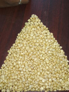 Beyaz mısır gdo olmayan - Product Image 6