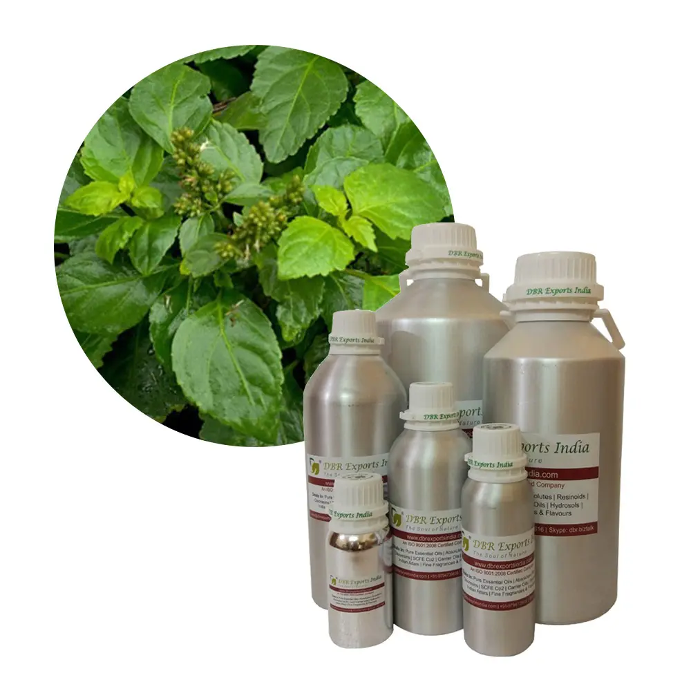 Olio di Patchouli sfuso Indonesia grossista di olio essenziale di Patchouli indonesiano naturale esportatore di olio di Patchouli Indonesia