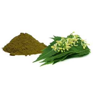 High Quality Neem Powder Manufacturer From India