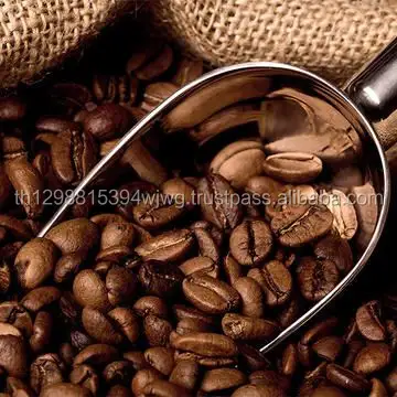 Robusta-granos de café árabe (Grado A), granos de café (Grado A), los mejores precios