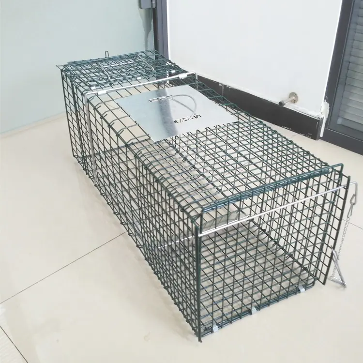 Çoklu yakalama hayvan kafesi/kuş yakalama kafesi/kuş güvercin kafes tuzak (HC1607-R)