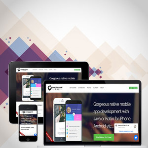 IOS and Android Platform <strong>Developer</strong> with Experience in Developing Applications by ProtoLabz EServices - Product Image 6