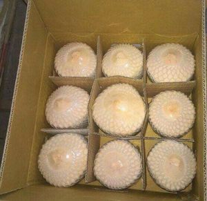 Fresh Young <strong>Coconut</strong> Export Diamond <strong>Shape</strong> - Product Image 4