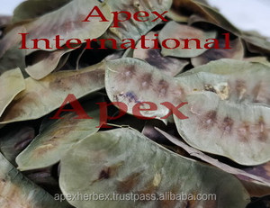 Senna Cassia Angustifolia bakla kurutulmuş organik TBC - Product Image 3