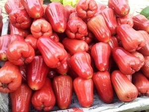 FRESH ROSE APPLE-เวียดนามพิเศษสด Bell ผลไม้ - Product Image 6