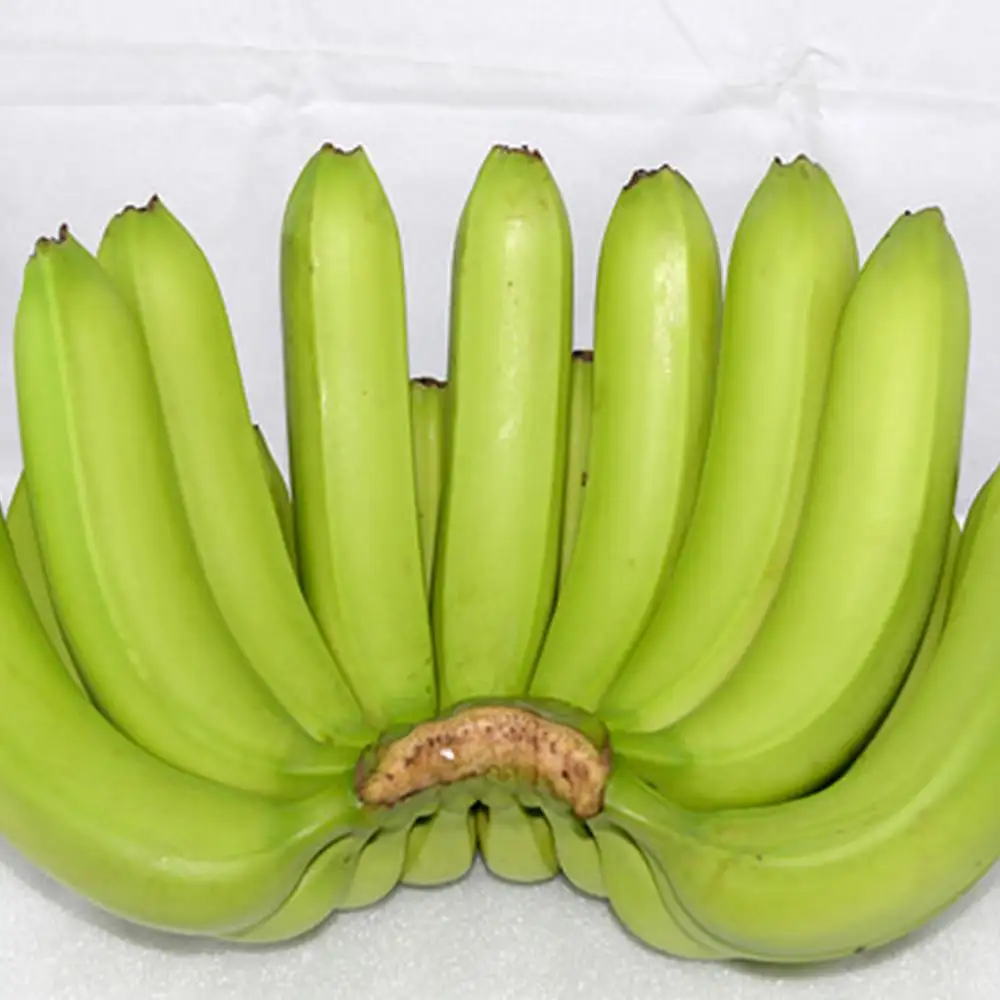 Frische Cavendish-Banana