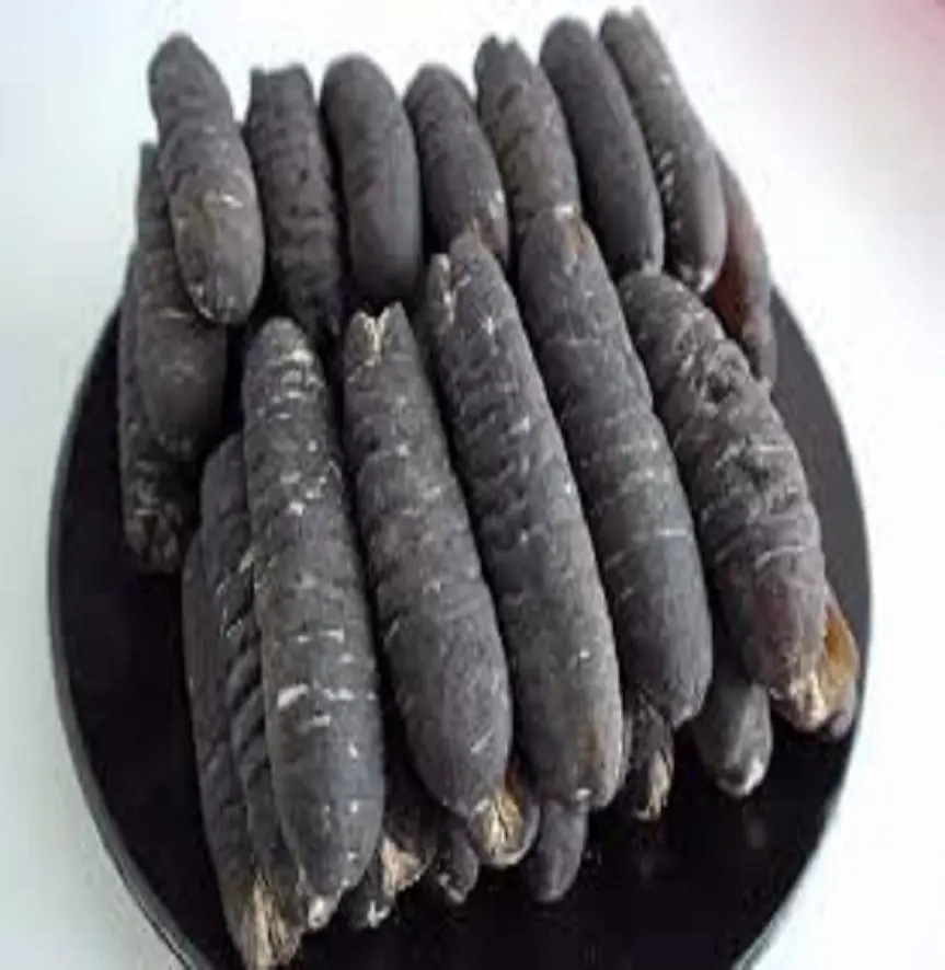 High quality dried sea cucumber