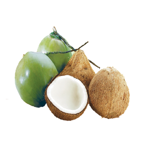 ALTE KOKOSNUSS/KOKOSNUSS DE-HUSKED/ ORGANIC FRESH MATURE COCONUT - Product Image 1