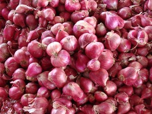 BEST FRESH RED UNION FROM VIETNAM/CHEAP PRICE in BULK - Product Image 3