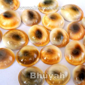Shiva göz kabuk - Product Image 3
