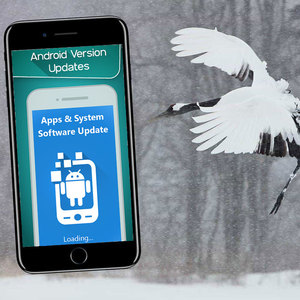 <strong>Android</strong> Mobile Application Software | TOP <strong>Android</strong>/iOS Mobile <strong>App</strong> Services by ProtoLabz EServices - Product Image 3