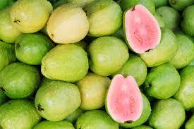 Taze GUAVA/GUAVA meyve toplu satış