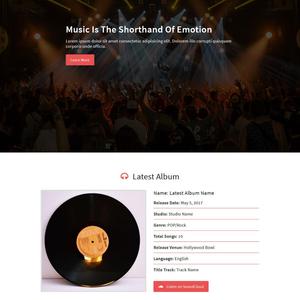 Website Design and Development ECommerce Music Band Services Booking WordPress Web Theme and Template Plugin Developer Software