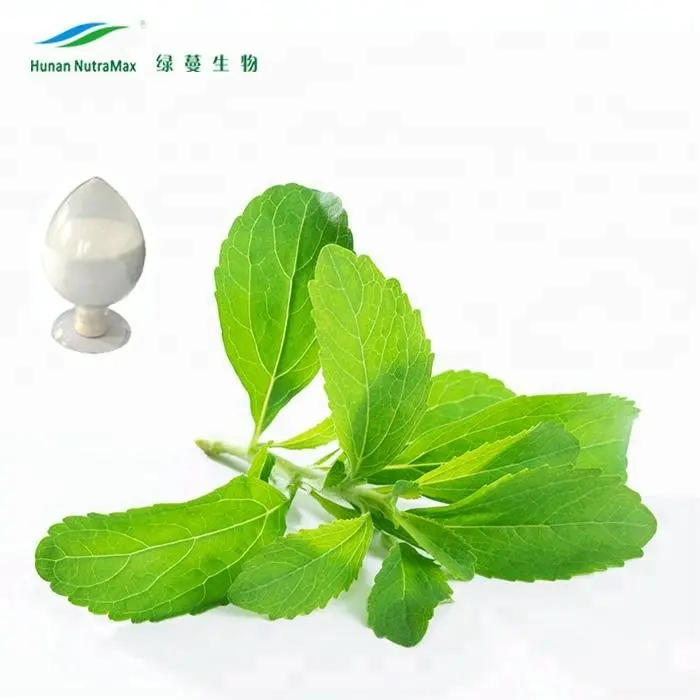 Bulk Pure Organic Stevia Leaves Extract Steviol Glycosides Rebaudioside A 97% Powder