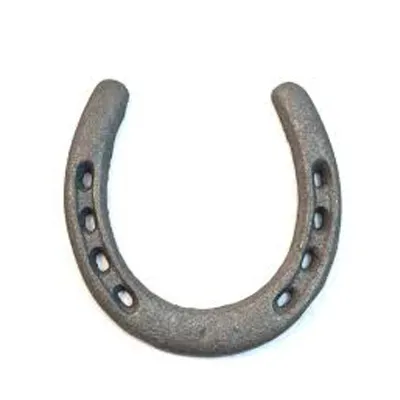 Hand Forged Iron Horseshoe Paper Weight