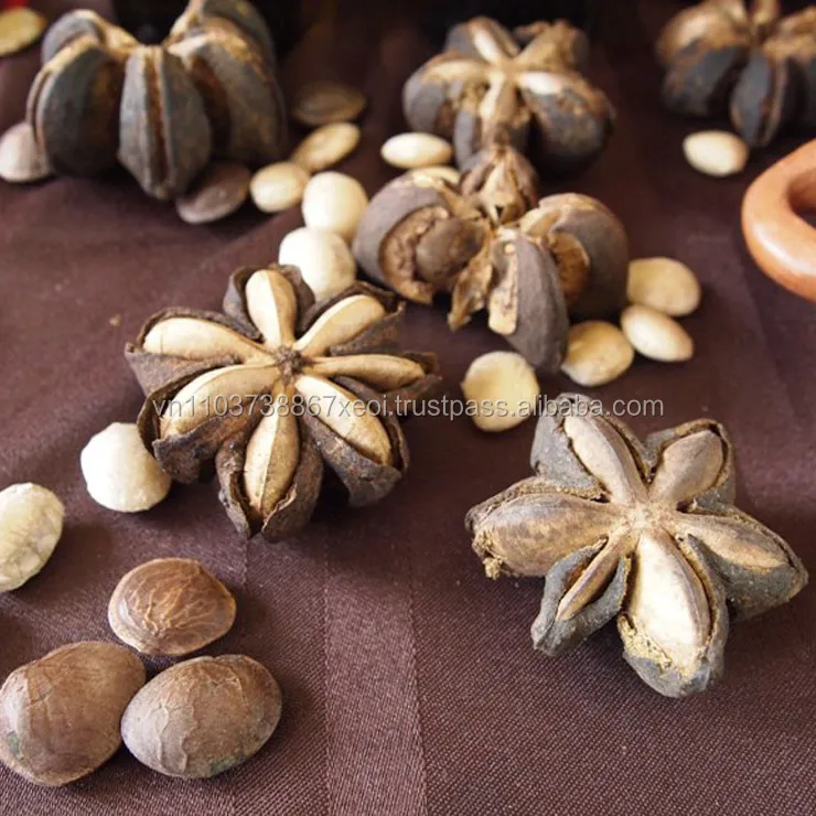 Арахис SACHI-Специальный арахис sacha inchi-вьетнамский Вкусный орех sacha inchi