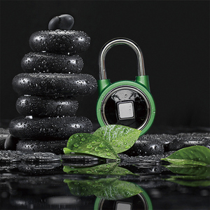 Padlock3.0การออกแบบใหม่หนักกันน้ำโลหะผสมสังกะสี Ecurity ระดับประตูไบโอเมตริกซ์ล็อคลายนิ้วมือที่มีคีย์หลักในการล็อค - Product Image 5