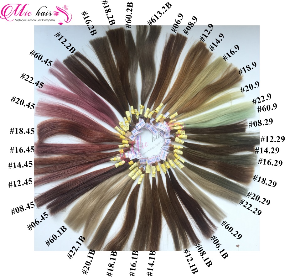 All color #1b - #613