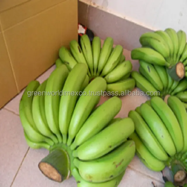 Plátano CAVENDISH PREMIUM-verde hermoso-Precio especial 2016