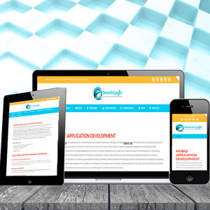 Software Development Services | Melhores serviços de software por ProtoLabz eServices