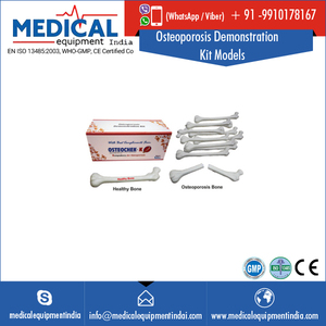 Fine Finish Osteoporosis Demonstration <strong>Kit</strong> <strong>Models</strong> - Product Image 2