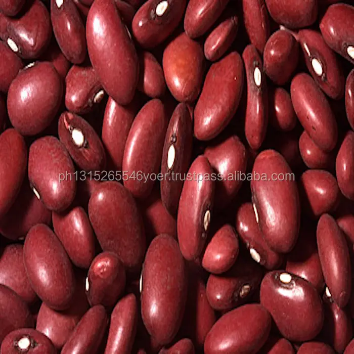 Penjualan Promosi Kacang Putih Ginjal