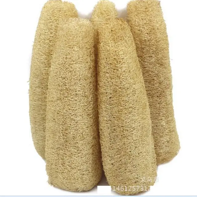 GROSSHANDEL LOOFAH/ LUFFA SPONGES MIT BESTEM PREIS 84-8445-639-639