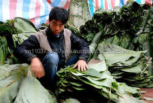 Wrap Banh Chung Tet ve gıda için yüksek kalite en iyi fiyat özel Dong - Product Image 3