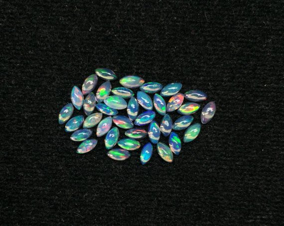 Multi Color