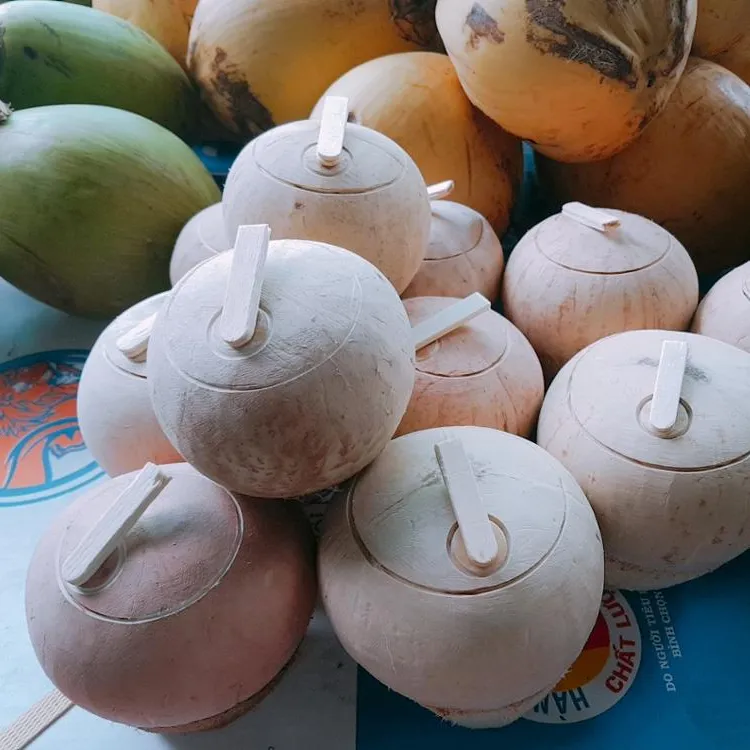 VIETNAM FRESH Kelapa Muda HARGA TERBAIK (WHATSAPP + 84 845 639 639)