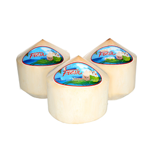 Frische KOKOSNUSS export günstigen preis/Diamant form coconut / Ms. Urlaub