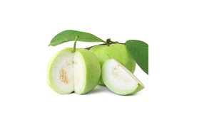 SUPPLIER DELICIOUS FRESH GAUVA/<strong>BEST</strong> for IMPORTERS