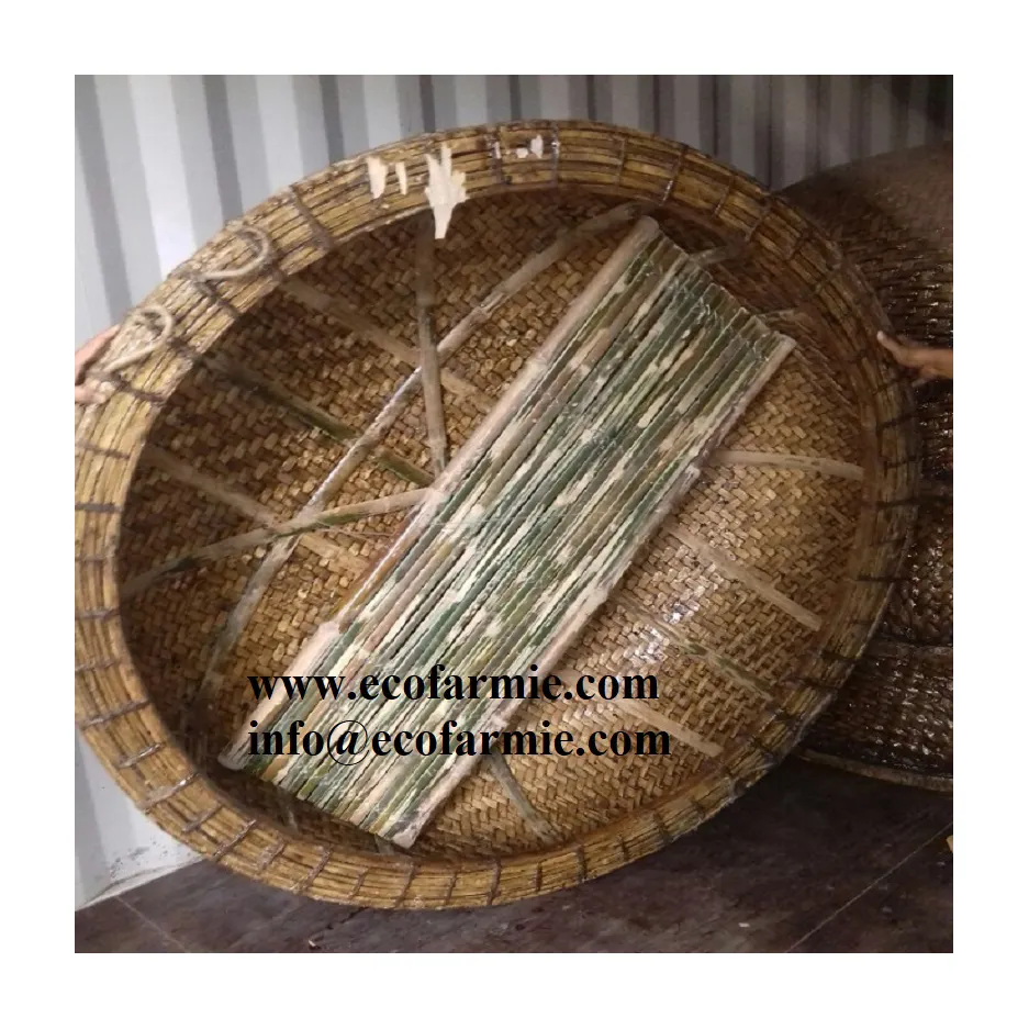 Handmade wooden big size traditional bamboo coracle fishing basket boat tumbler from Vietnam