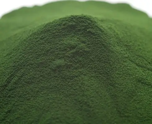 Japanse Hoge Kwaliteit Chlorella Poeder En Tablet Gemaakt In Japan Voor Gezondheid Voedingsmiddelen En Dietary Met Gmp En Halal Certificaten