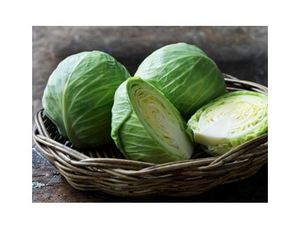 Thu hoạch Bắp Cải Trắng xanh hữu cơ lớn có nguồn gốc ở Việt Nam - Product Image 2