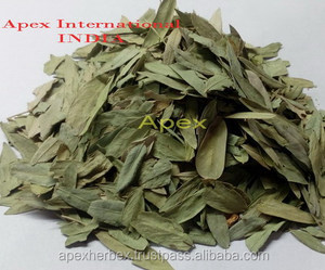 Senna bakla T Cut Cassia Angustifolia bakla - Product Image 2