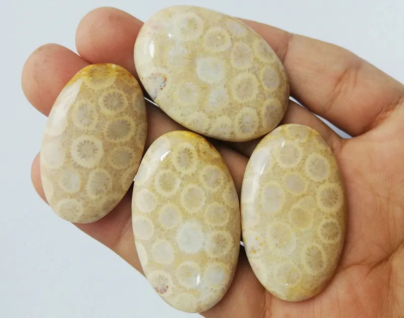 Fancy Cabochon Loose Gemstones Morocco Brilliant 100% Natural Fossil Coral Oval 