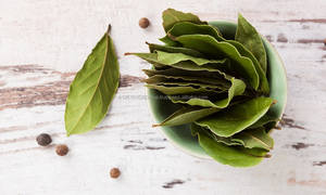 Nhà Cung Cấp Hàng Đầu Tốt Nhất Laurel Bay Lá Hỏi Đáp Bán Lựa Chọn Và Tay Lựa Chọn Thổ Nhĩ Kỳ Chất Lượng Tốt Nhất Xuất Khẩu - Product Image 5