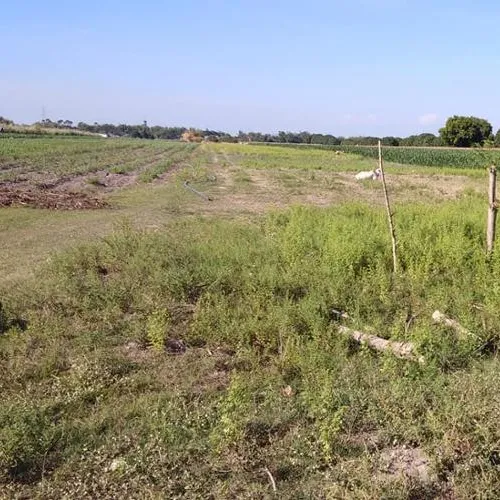 Pezzo di Terra per la vendita nelle Filippine