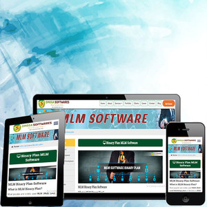 ซอฟต์แวร์ไบนารี MLM | บริการซอฟต์แวร์ไบนารี MLM ที่ดีที่สุดโดย protolabz eservices - Product Image 5