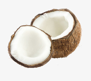 ALTE KOKOSNUSS/KOKOSNUSS DE-HUSKED/ ORGANIC FRESH MATURE COCONUT - Product Image 3